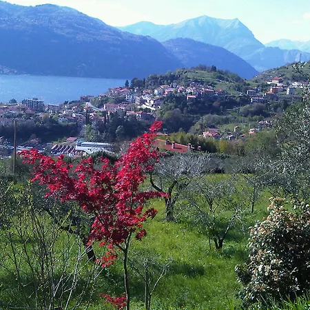 Crotto Di Somana Mandello del Lario